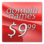 Register your Domain Name for 9.99